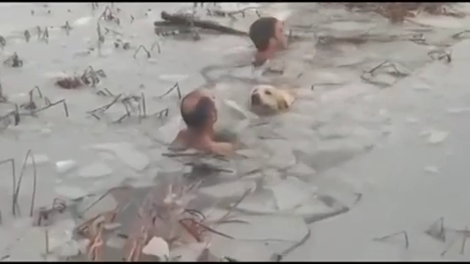 Dos guardias civiles se desnudan y se lanzan a un embalse helado para rescatar a un perro atrapado