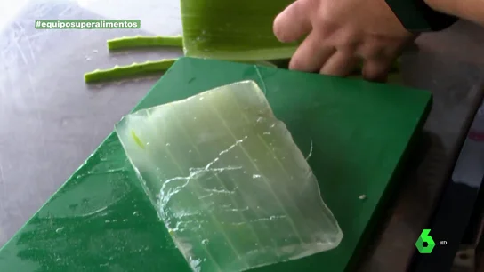 ALOE VERA EQUIPO DE INVESTIGACIÓN ALOE VERA EQUIPO DE INVESTIGACIÓN