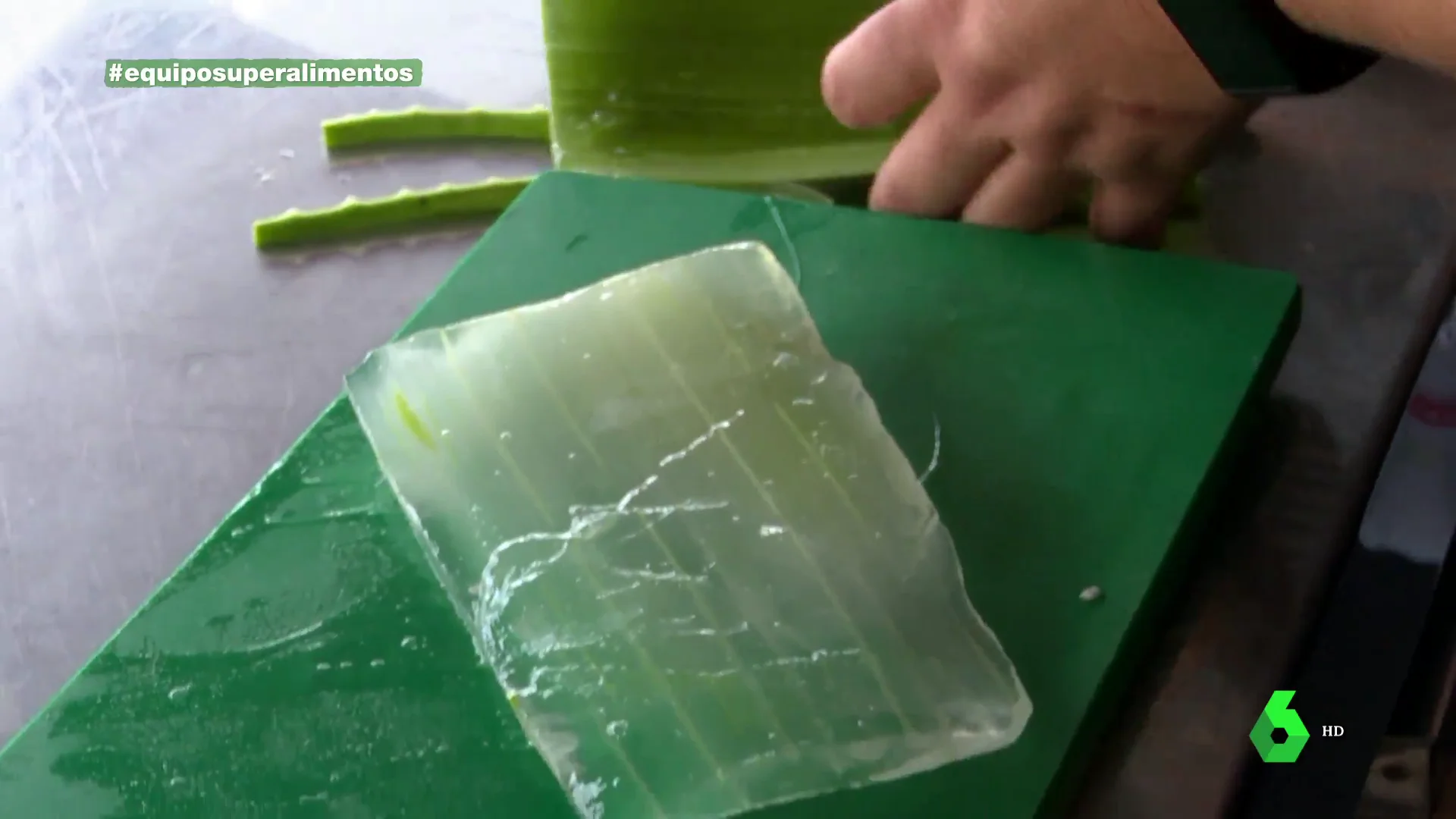ALOE VERA EQUIPO DE INVESTIGACIÓN