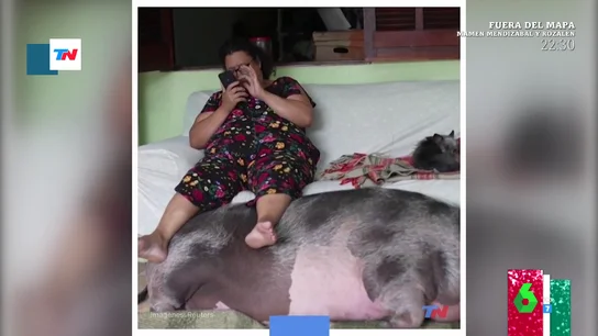 Compra un 'minicerdo' por Instagram y acaba teniendo una mascota más grande que ella Compra un 'minicerdo' por Instagram y acaba teniendo una mascota más grande que ella