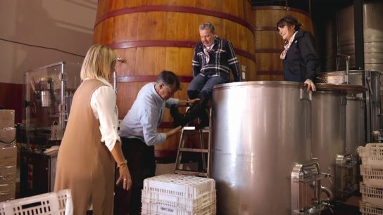 Alberto Chicote se pone "hasta el corvej&oacute;n" pisando vino con Rozal&eacute;n: "Lo he disfrutado como si me hubiesen dejado pilotar un avi&oacute;n"