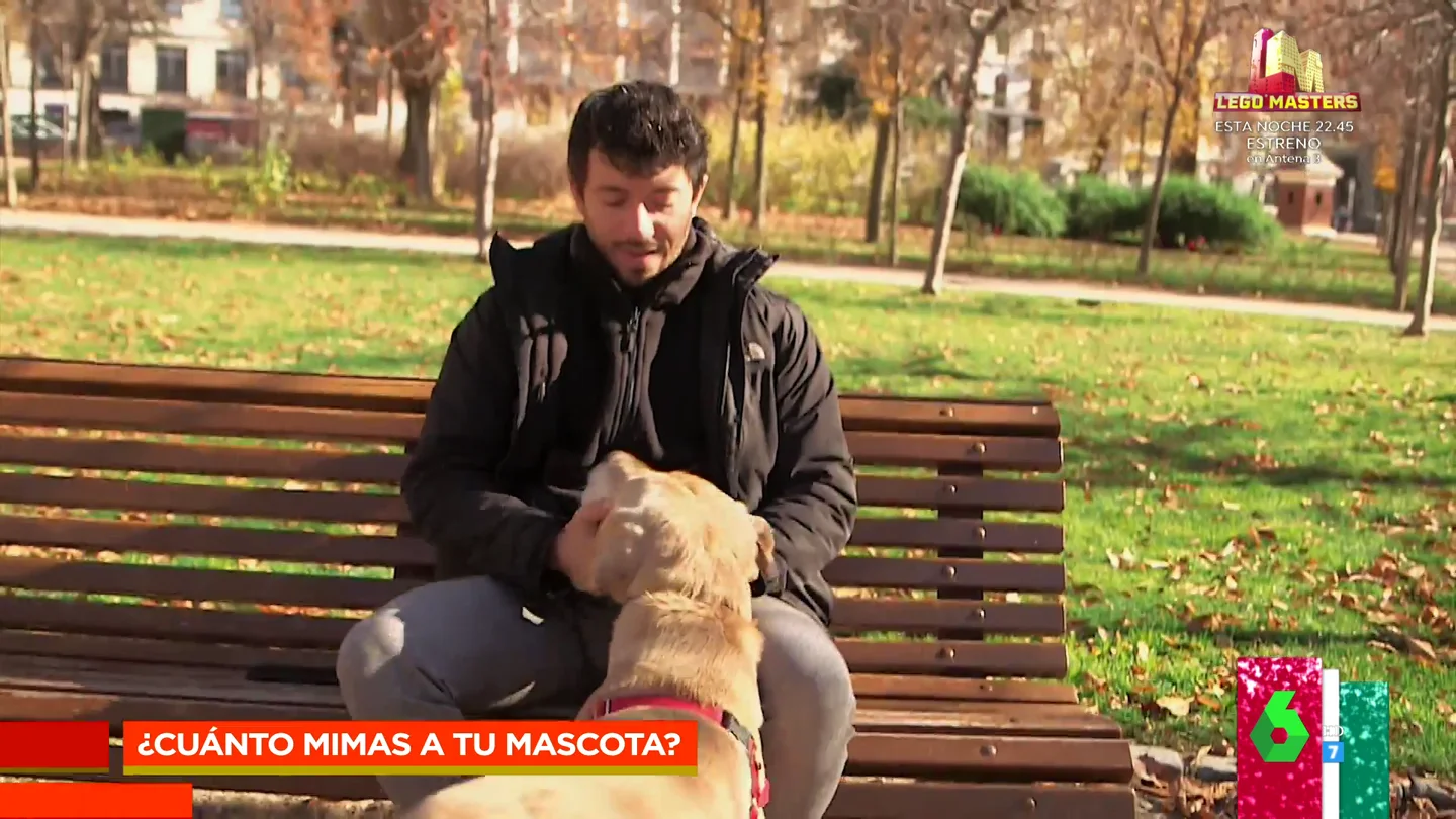 Los españoles confiesan los mayores sacrificios que han realizado por sus mascotas: "Por mi perro sí, por mi pareja no" Los españoles confiesan los mayores sacrificios que han realizado por sus mascotas: "Por mi perro sí, por mi pareja no"