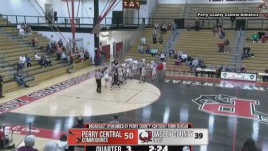 Pelea en un partido de baloncesto juvenil