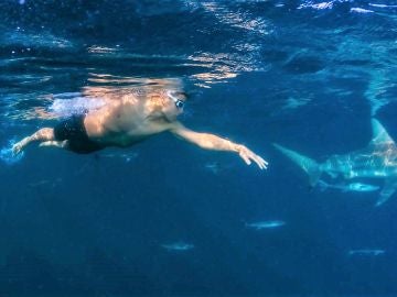 Pablo Fernández nadando entre tiburones