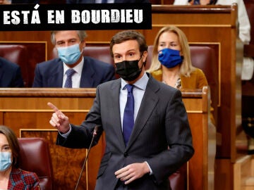Pablo Casado, una mosca en la mierda