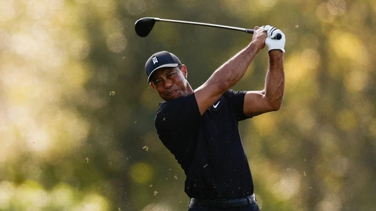 Tiger Woods, en un golpeo Tiger Woods, en un golpeo