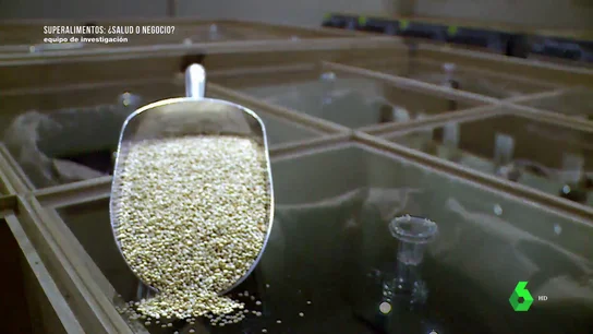 "El cultivo de los dioses", el superalimento de moda que ya se producía hace 7.000 años "El cultivo de los dioses", el superalimento de moda que ya se producía hace 7.000 años