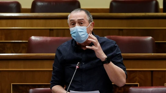 Imagen de Baldoví en el Congreso Imagen de Baldoví en el Congreso