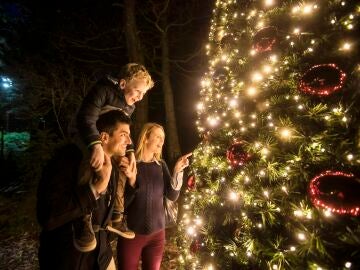 Estas son algunas de las curiosas tradiciones y costumbres que harán que quieras visitar Irlanda en Navidad