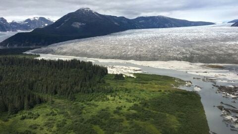 Glaciar Taku