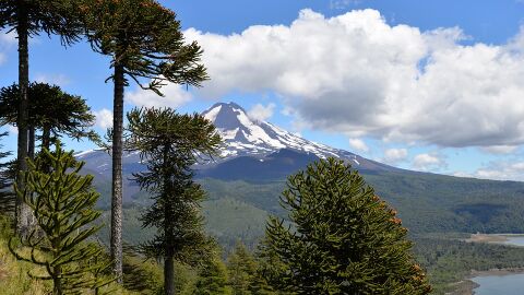 Parque Nacional Conguíllio