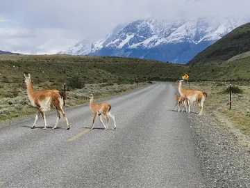 El mejor destino mundial de turismo de aventura es… ¡Chile! El mejor destino mundial de turismo de aventura es… ¡Chile!