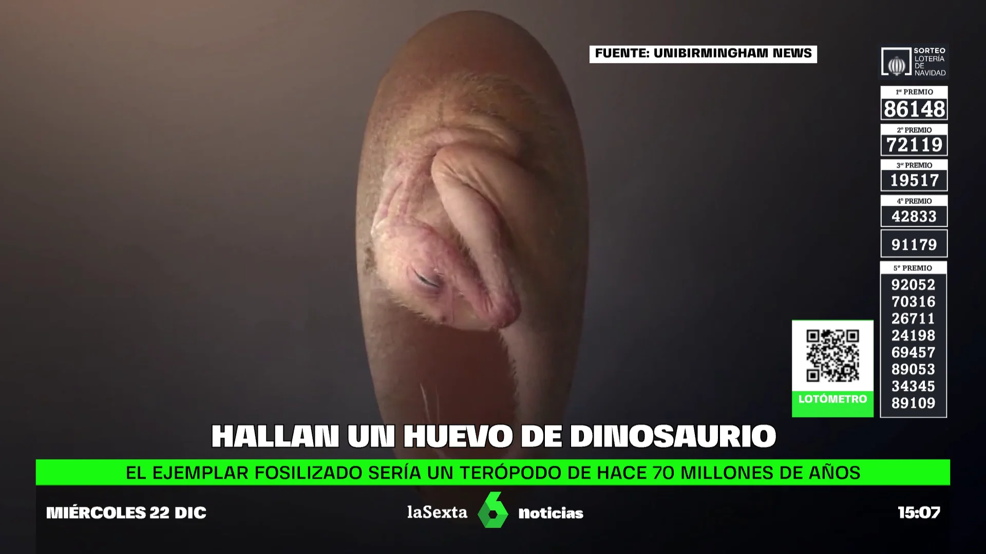 huevo dinosaurio