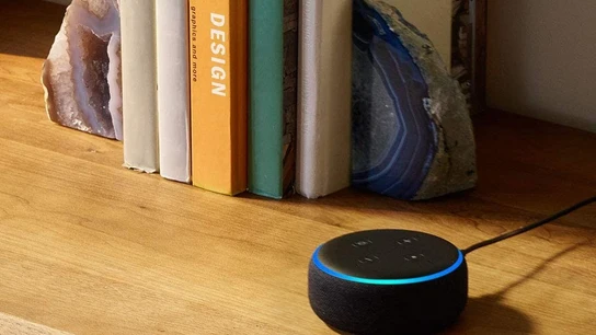 Alexa, el asistente virtual de Amazon, pide a una niña de 10 años que toque un enchufe con una moneda Reto viral