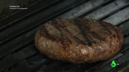 Imagen de carne de hamburguesa Imagen de carne de hamburguesa