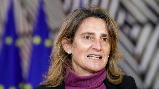 La ministra Teresa Ribera, en una imagen de archivo La ministra Teresa Ribera, en una imagen de archivo