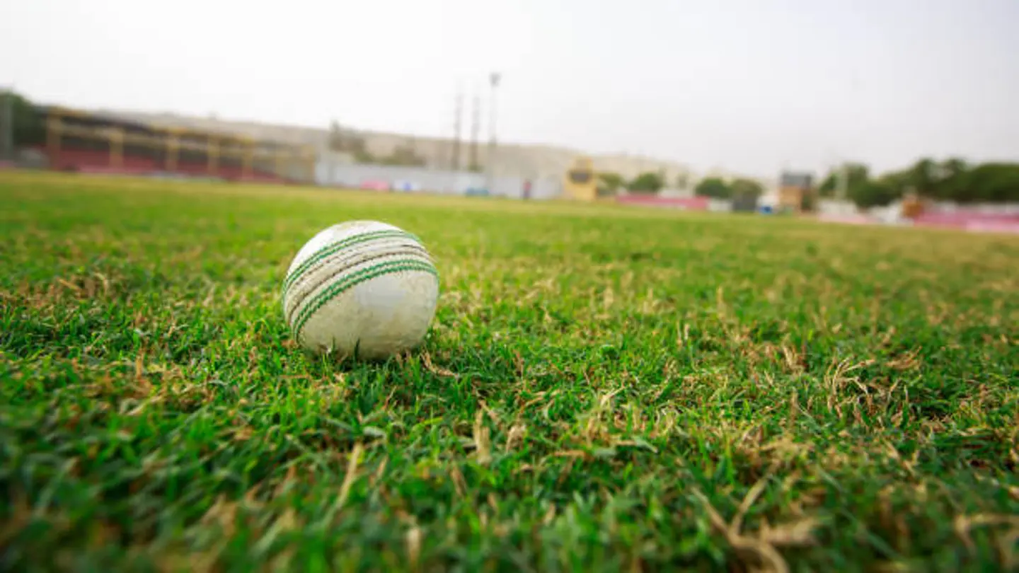 Cricket Cricket