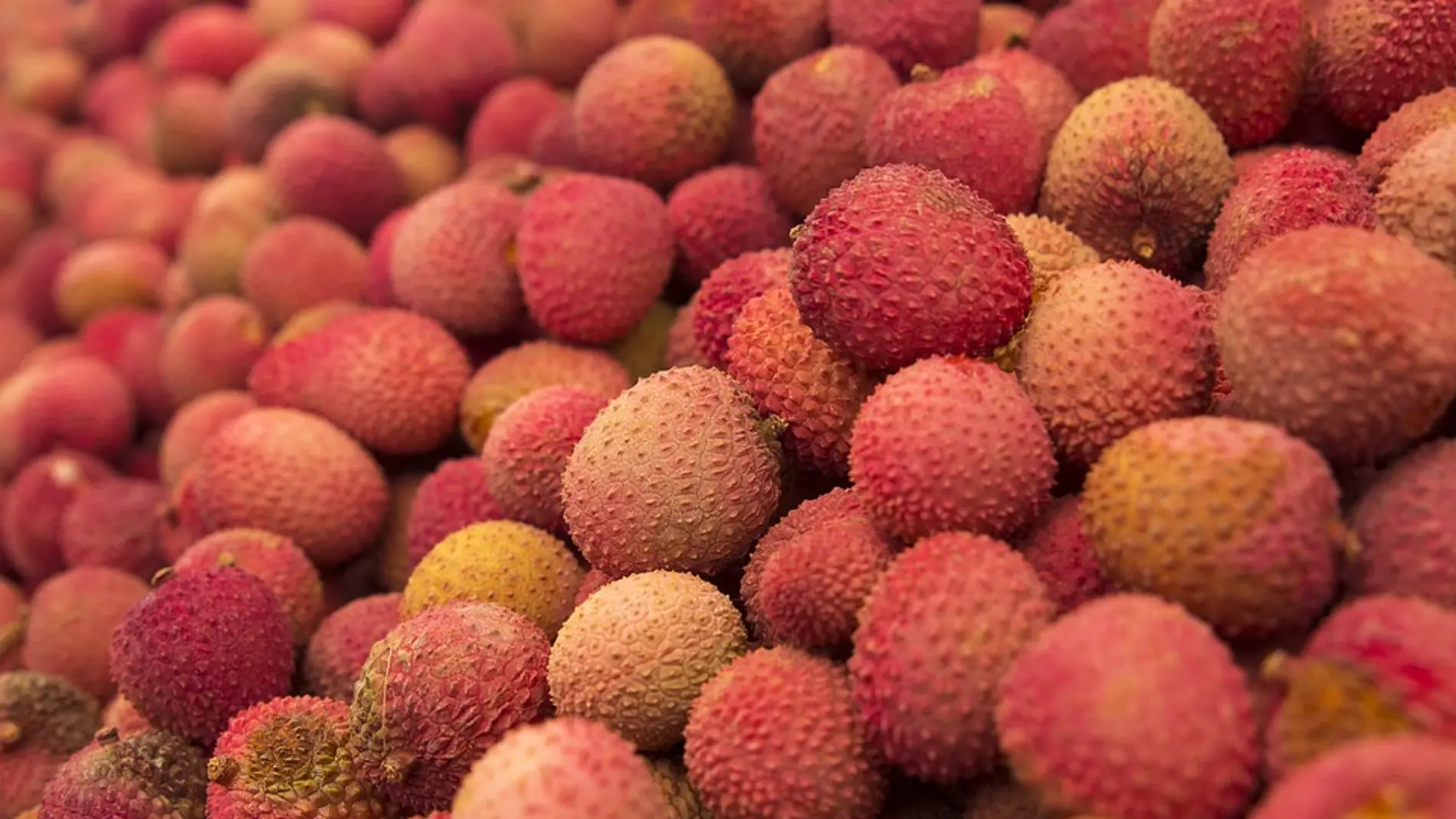 El genoma del lichi explica la historia de esta colorida fruta tropical