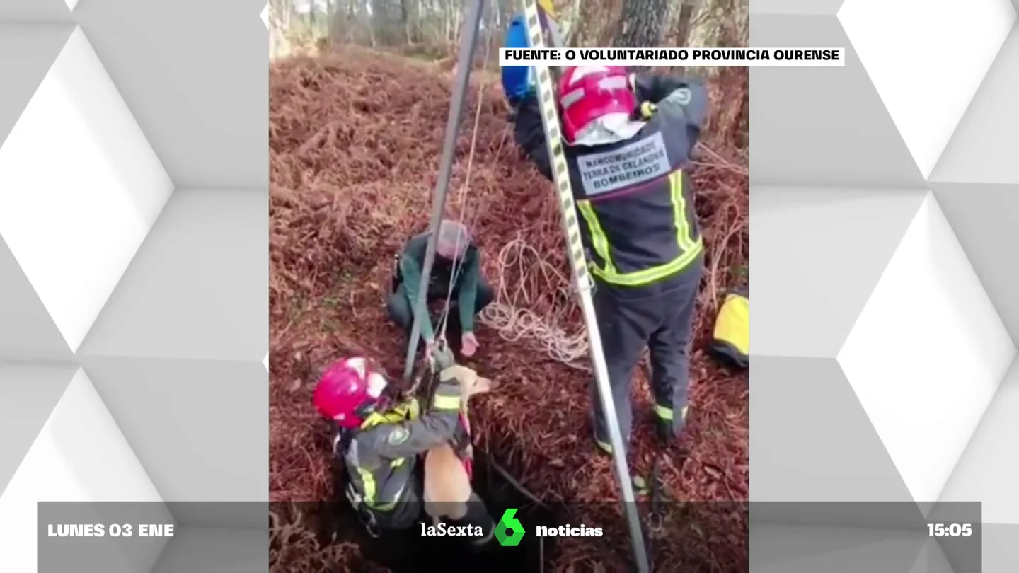 rescate canino vídeo rescate canino vídeo