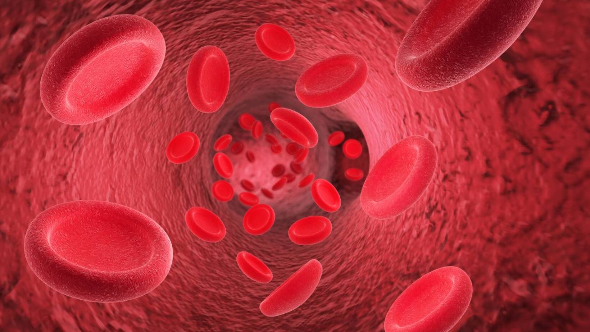 Editan por primera vez el genoma de celulas endoteliales con CRISPR