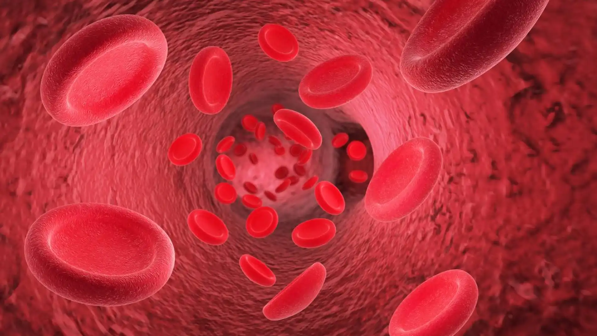 Editan por primera vez el genoma de celulas endoteliales con CRISPR