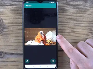 Estados de WhatsApp Estados de WhatsApp