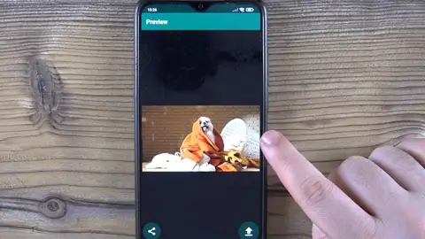 Estados de WhatsApp Estados de WhatsApp