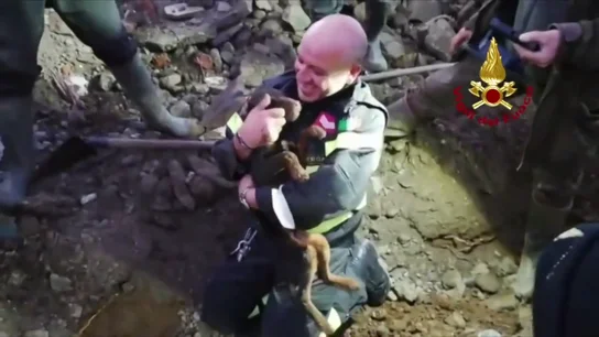 Conmovedor rescate en Italia: bomberos salvan a dos perros atrapados en una madriguera cavando con sus manos Conmovedor rescate en Italia: bomberos salvan a dos perros atrapados en una madriguera cavando con sus manos