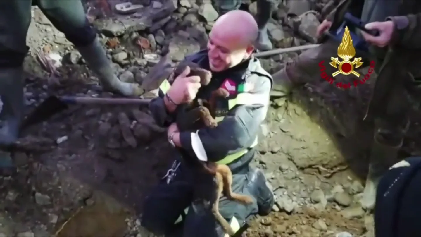 Conmovedor rescate en Italia: bomberos salvan a dos perros atrapados en una madriguera cavando con sus manos Conmovedor rescate en Italia: bomberos salvan a dos perros atrapados en una madriguera cavando con sus manos