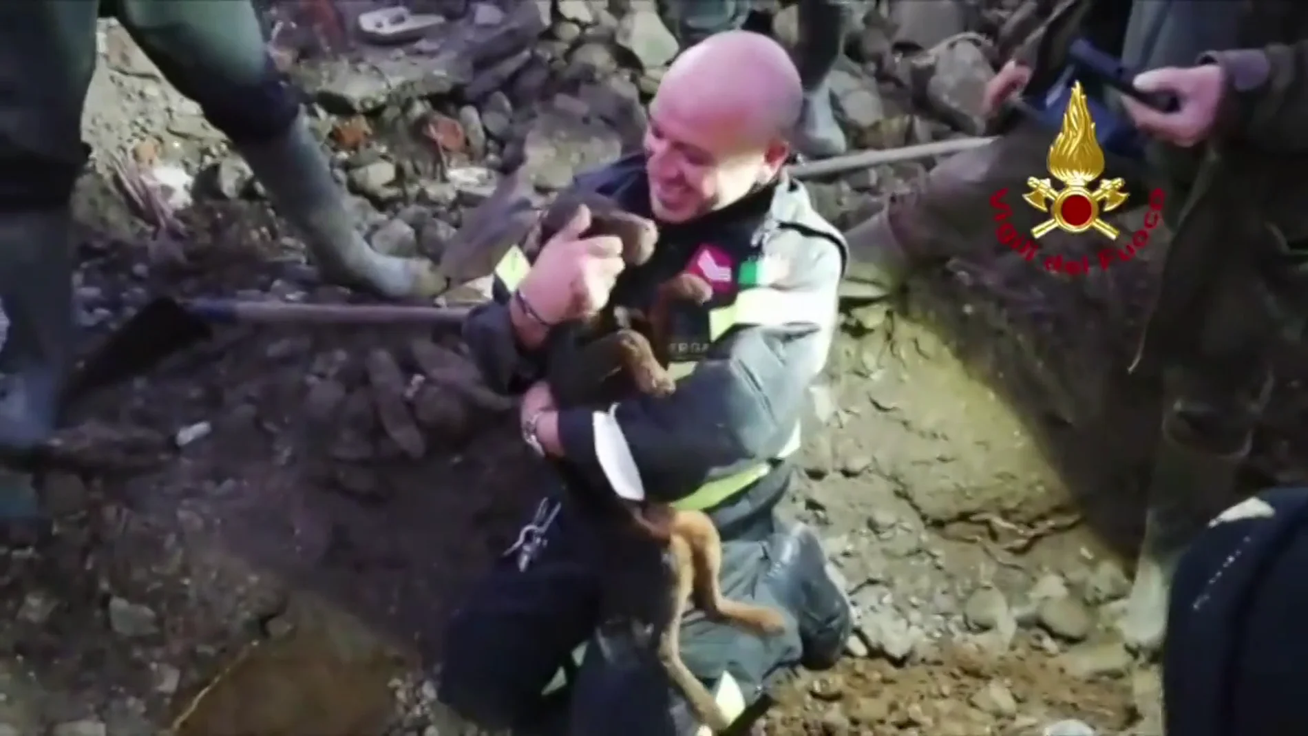Conmovedor rescate en Italia: bomberos salvan a dos perros atrapados en una madriguera cavando con sus manos