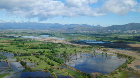 Aiguamolls de l'Empordà
