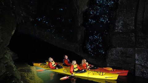 Cuevas Waitomo