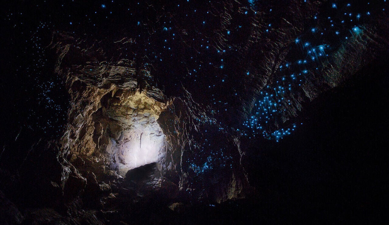 Cuevas de Waitomo: Descubre uno de los lugares más impresionantes de Nueva Zelanda
