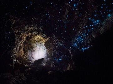 Cuevas de Waitomo: Descubre uno de los lugares más impresionantes de Nueva Zelanda