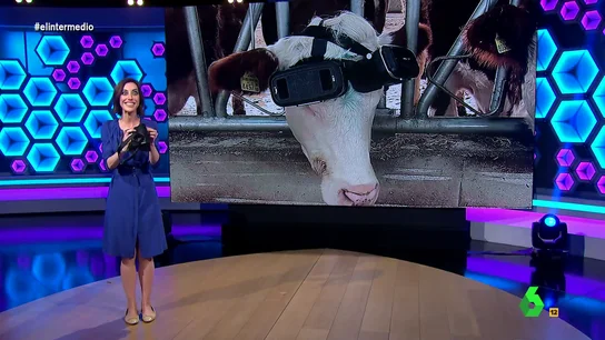 Cristina Gallego muestra la "solución al debate de macrogranjas" de un granjero turco Cristina Gallego muestra la "solución al debate de macrogranjas" de un granjero turco