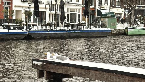 Leiden