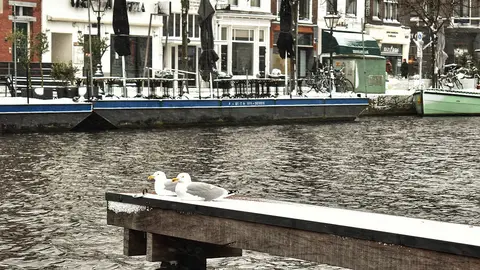 Leiden Leiden