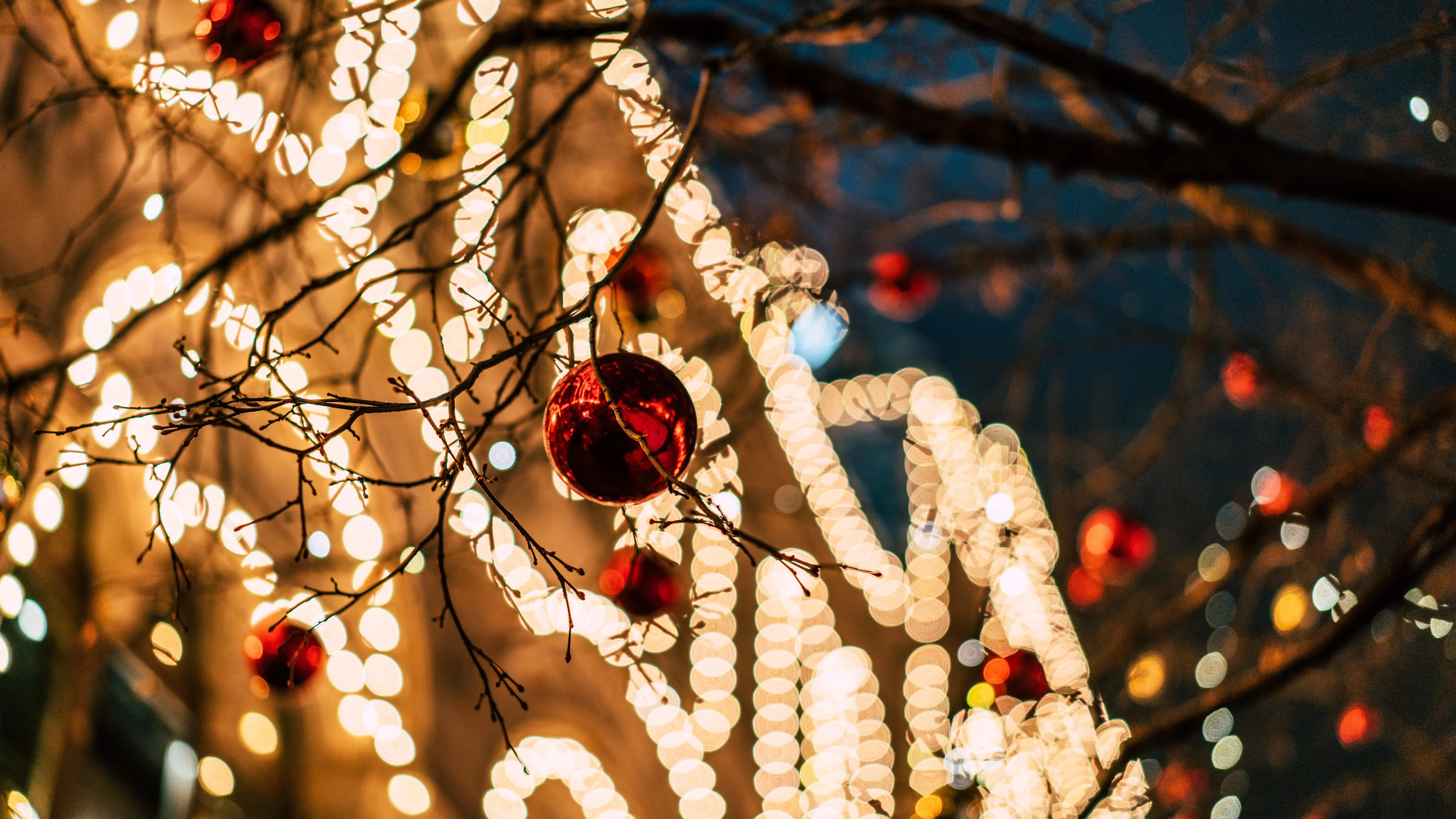 El Grinch existe: Un hombre enmascarado cansado del espíritu navideño roba las luces de Navidad Luces de Navidad