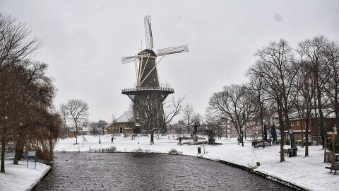 Leiden
