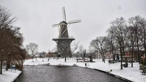 Leiden Leiden