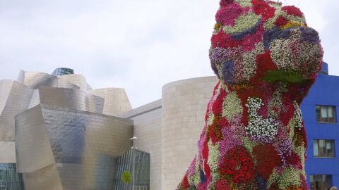 Museo Guggenheim