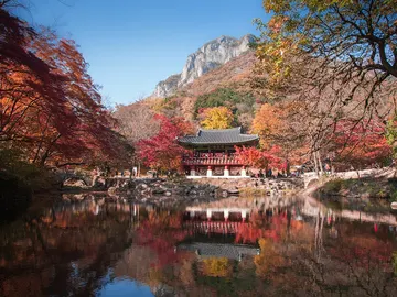 Destino Asia: grandes viajes que podrás descubrir en FITUR 2022 Destino Asia: grandes viajes que podrás descubrir en FITUR 2022