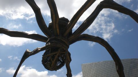 Museo Guggenheim