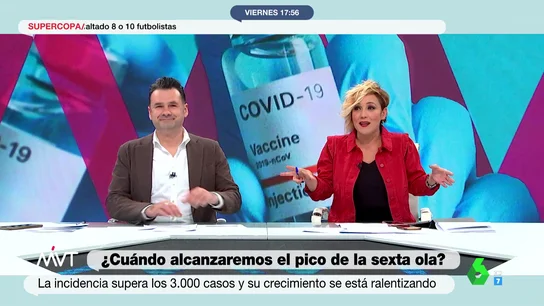 POLILLA MVT POLILLA MVT
