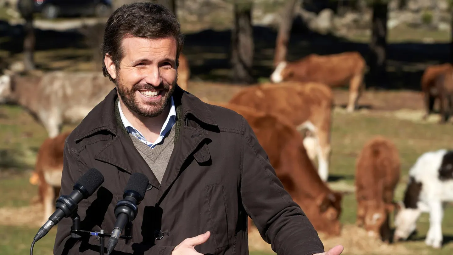 El presidente del PP, Pablo Casado, durante su visita a una explotación ganadera de extensivo en Las Navas del Marqués (Ávila) El presidente del PP, Pablo Casado, durante su visita a una explotación ganadera de extensivo en Las Navas del Marqués (Ávila)