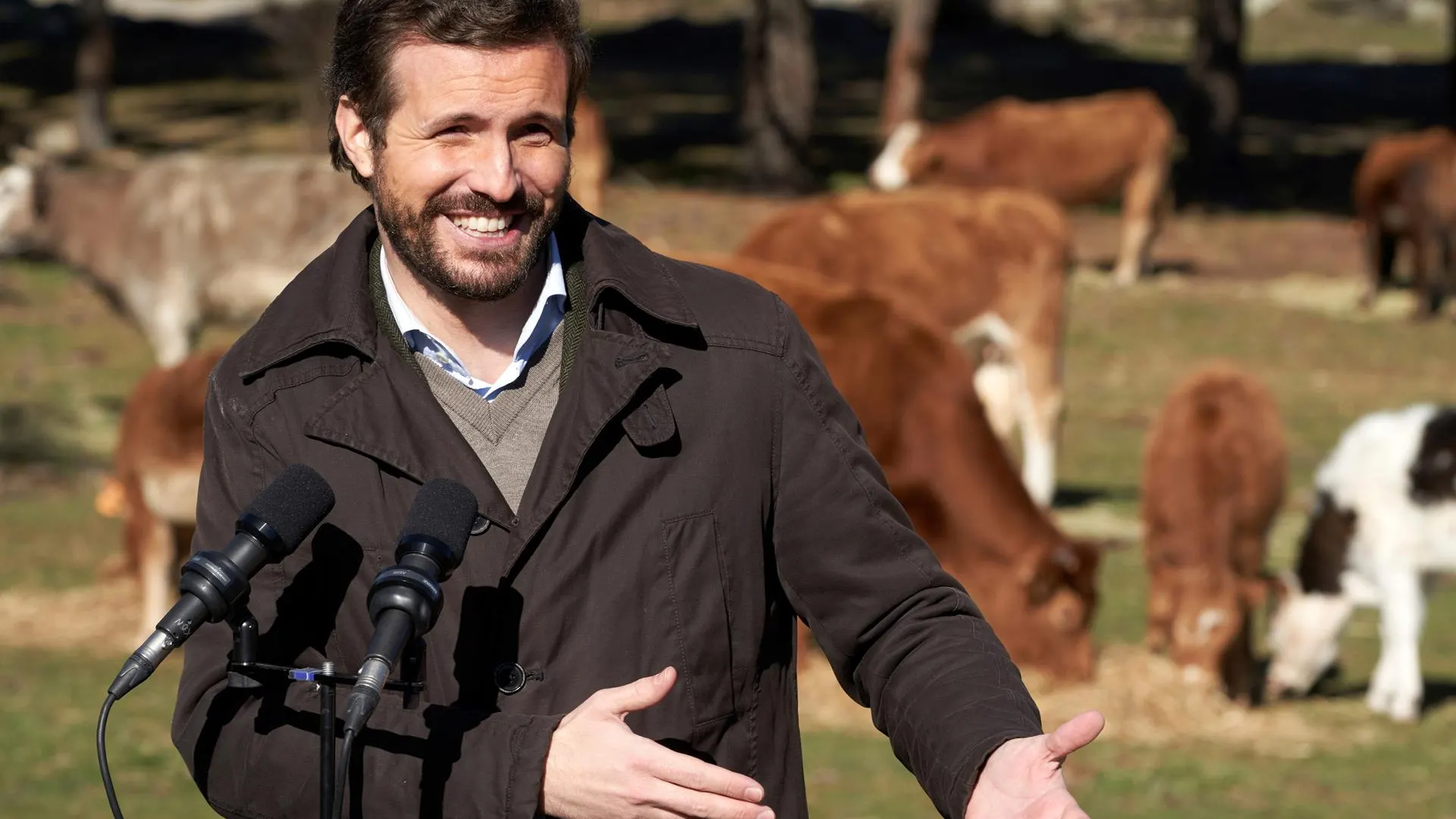 El presidente del PP, Pablo Casado, durante su visita a una explotación ganadera de extensivo en Las Navas del Marqués (Ávila)