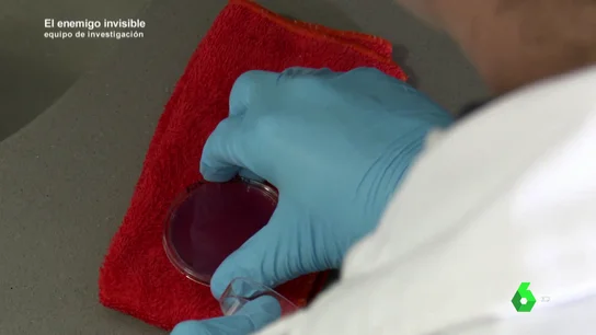 Análisis de las bacterias de una bayeta Análisis de las bacterias de una bayeta