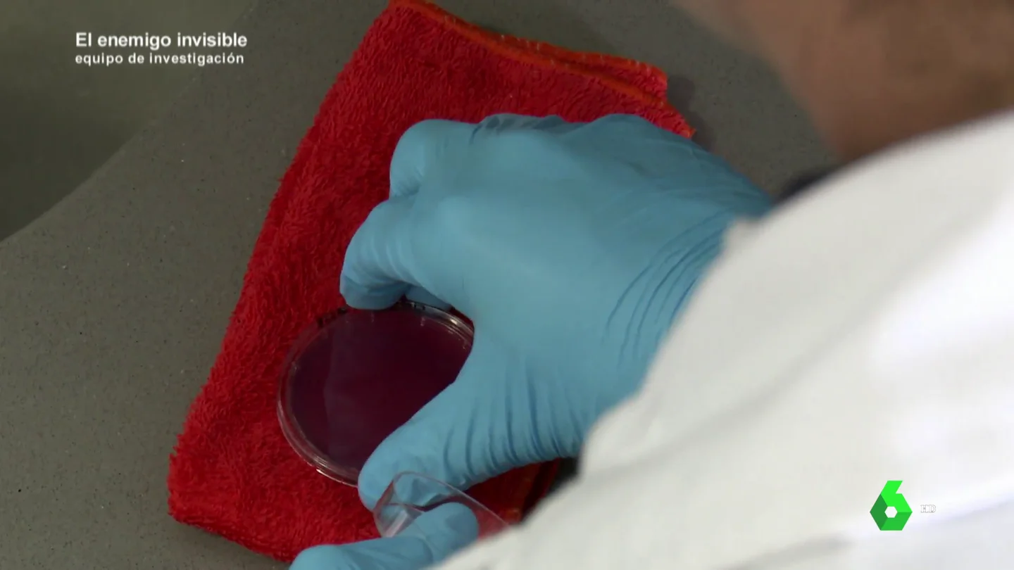 Análisis de las bacterias de una bayeta Análisis de las bacterias de una bayeta