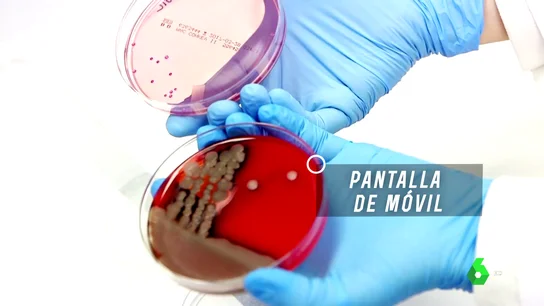 Imagen de las bacterias presentes en una pantalla del móvil Imagen de las bacterias presentes en una pantalla del móvil