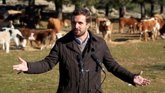 Pablo Casado, durante su visita a una explotaci&oacute;n ganadera de extensivo en Las Navas del Marqu&eacute;s (&Aacute;vila)